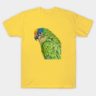 Amazon Parrot bird painting (no background) T-Shirt